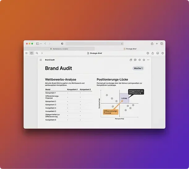 Brand Audit — Visual